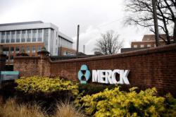 Компания Merck заявила об эффективности своего препарата от Омикрона