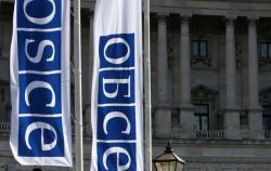 В ОБСЕ призвали Россию отменить решение о признании независимости "ЛДНР"