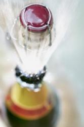 КЗШВ "Столичный" возглавил январский медиа-рейтинг украинских производителей шампанского